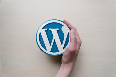 Logo WordPressu